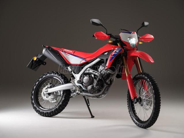 HONDA CRF 300 L 2025 Modell előrendelhető!