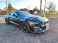 FORD MUSTANG Fastback GT 5.0 Ti-VCT FIFTYFIVE YEARS