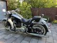 HARLEY-DAVIDSON HERITAGE SOFTAIL DELUXE Screaming Eagle
