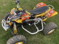 CAN-AM DS 450 